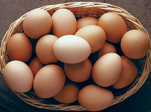 eggs